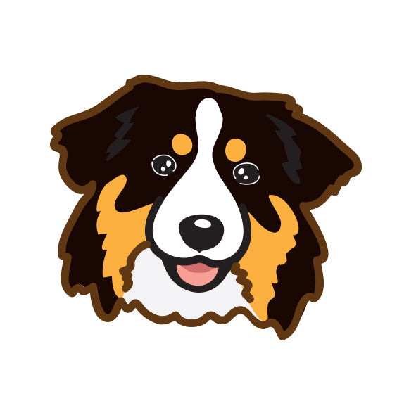 Australian Shepherd