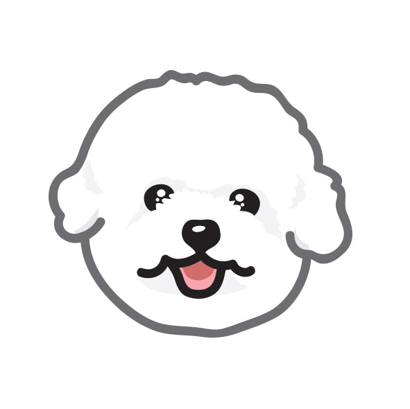 Bichon