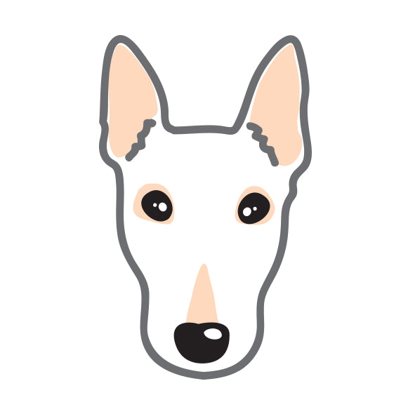 Bull Terrier