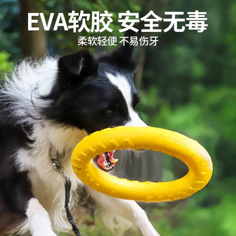 互動拉力環