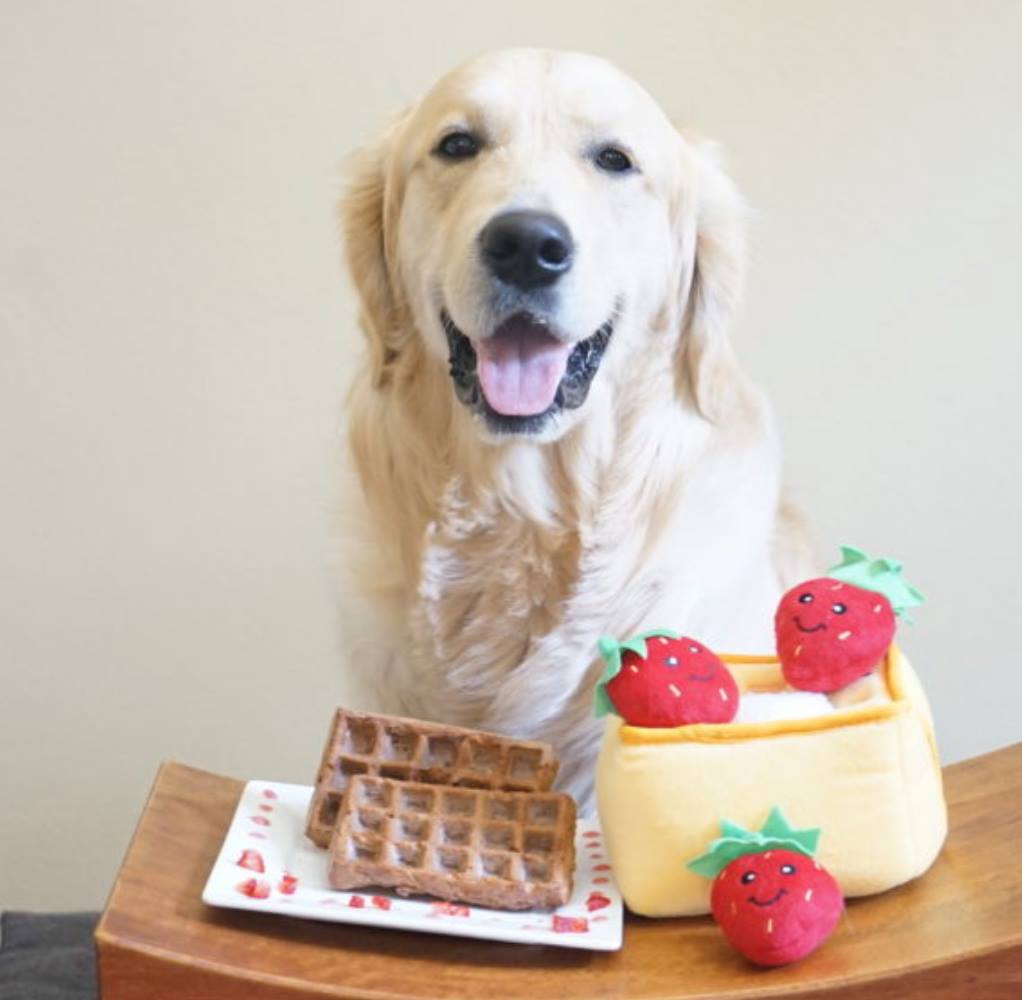 Zippy paws小窩系列