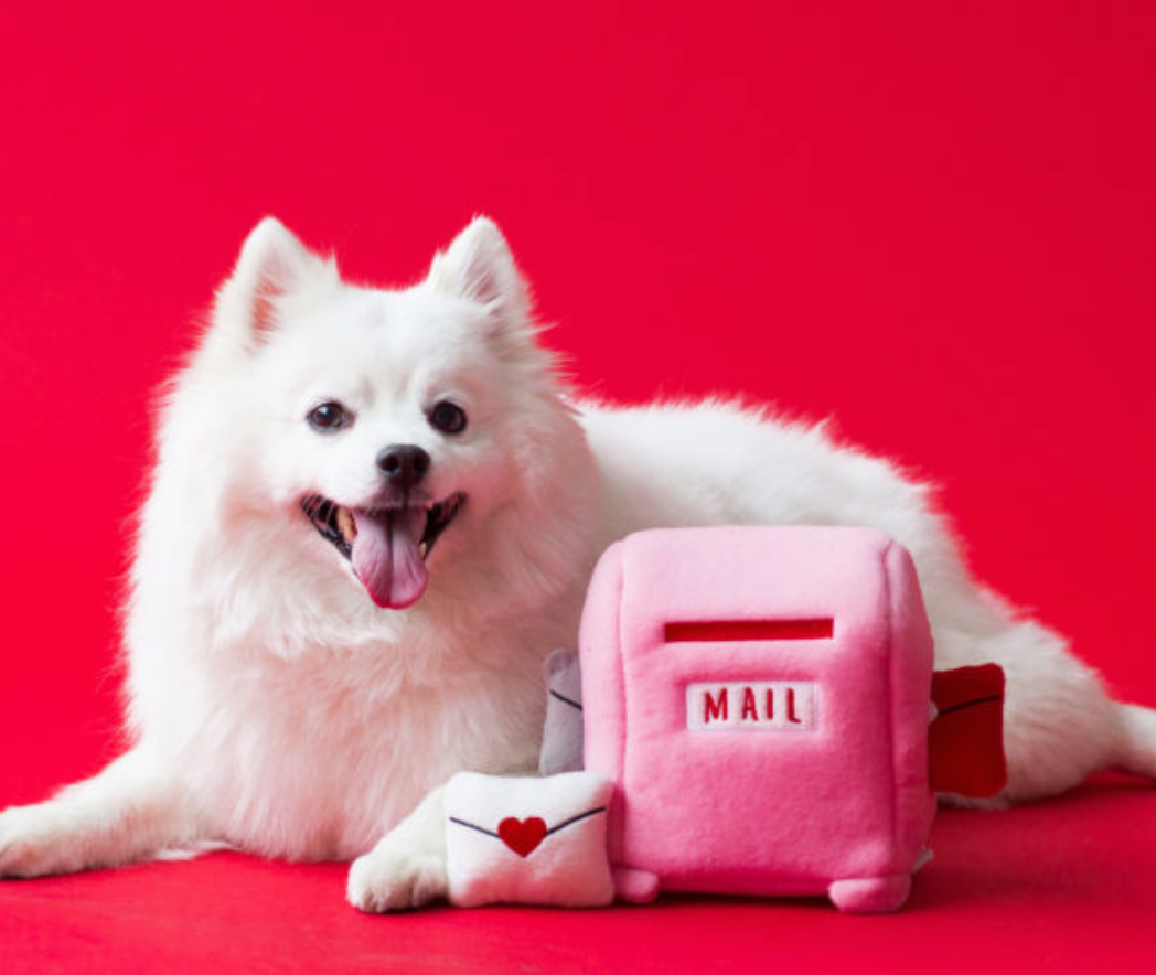 Zippy paws小窩系列