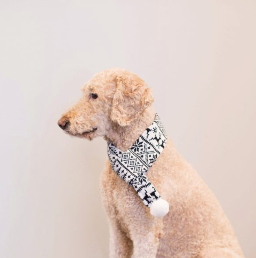 寵物圍巾