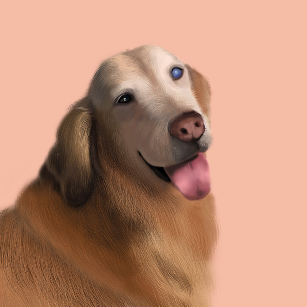 客製畫 • 寫實風格